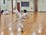 Taekwondo Competition Grading 4