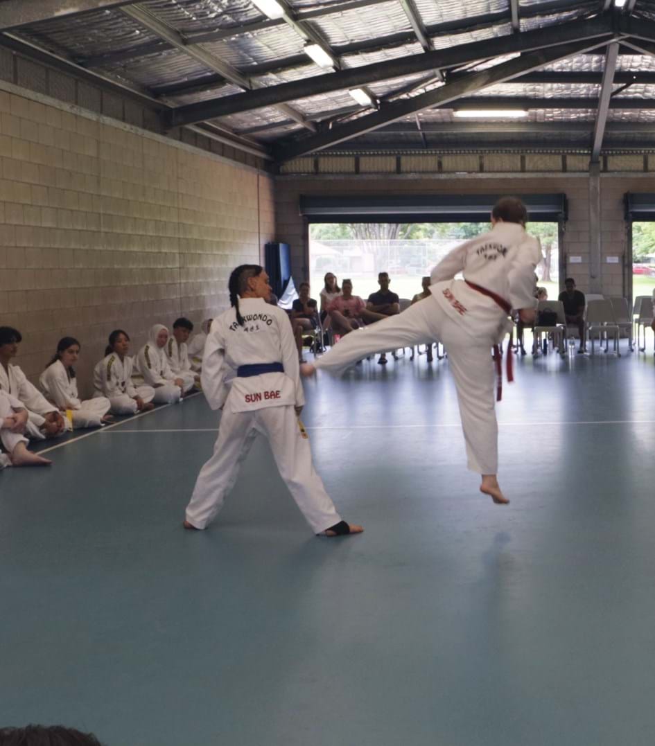 Taekwondo Black Belts Toowoomba 8