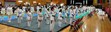 Martial Arts Championships