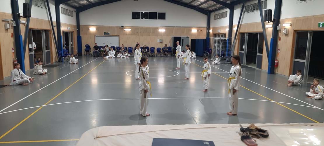 Taekwondo Grading The Gap