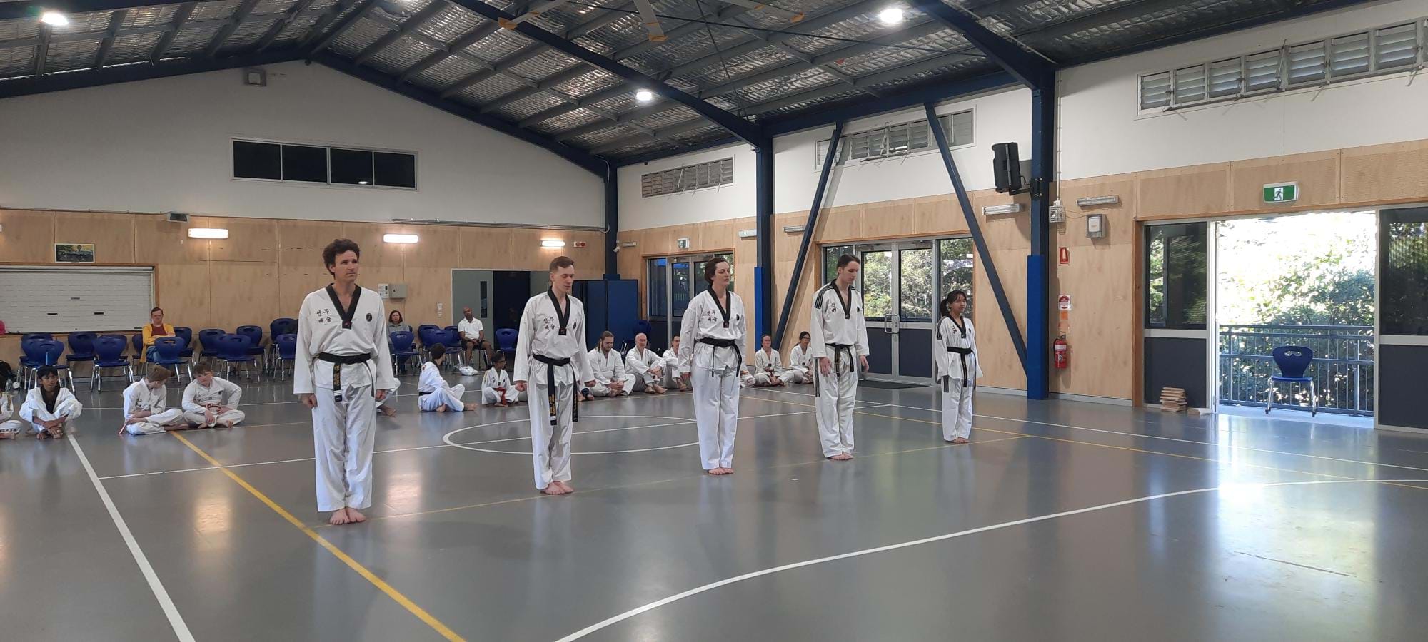 Instructors line up for Dan grading