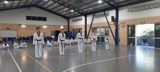 Instructors line up for Dan grading