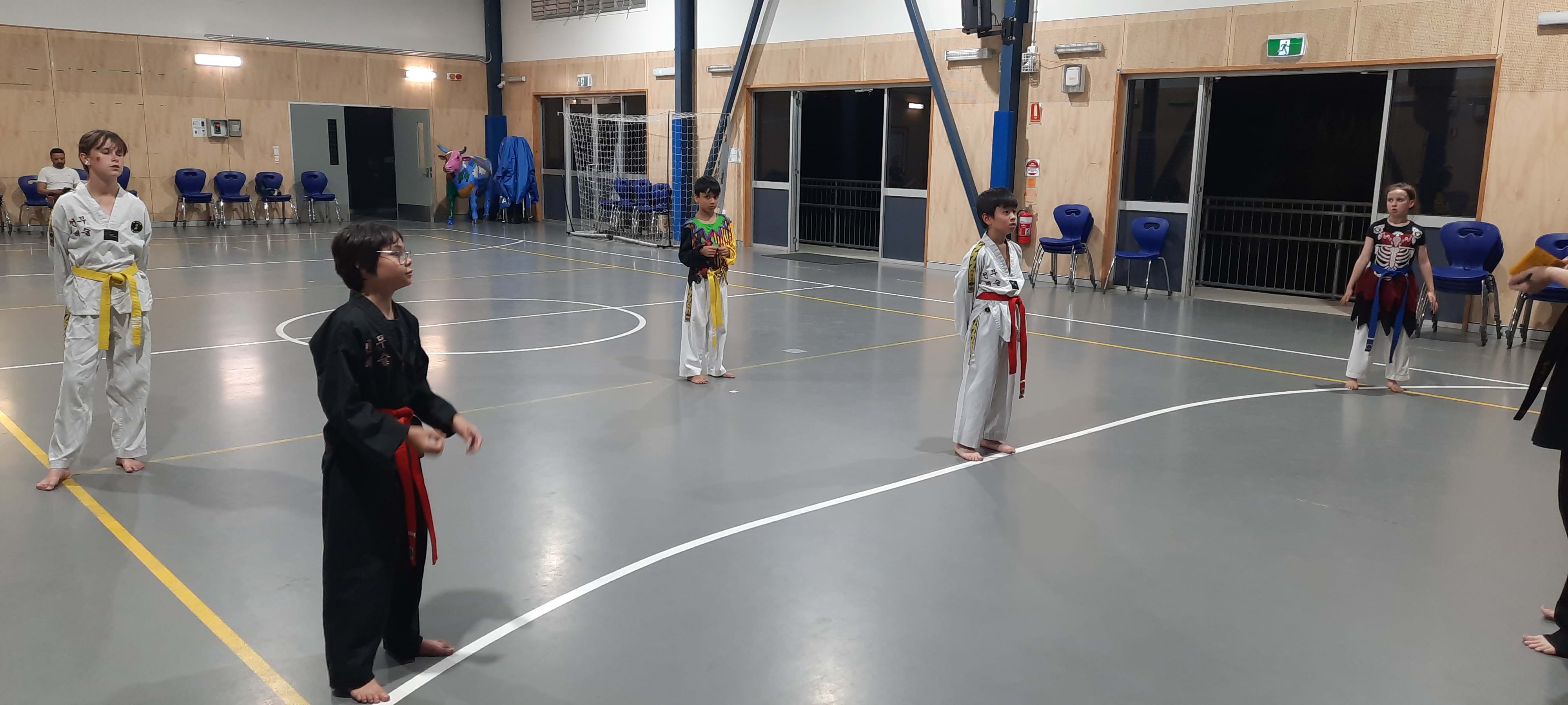 Halloween Night Taewkondo The Gap