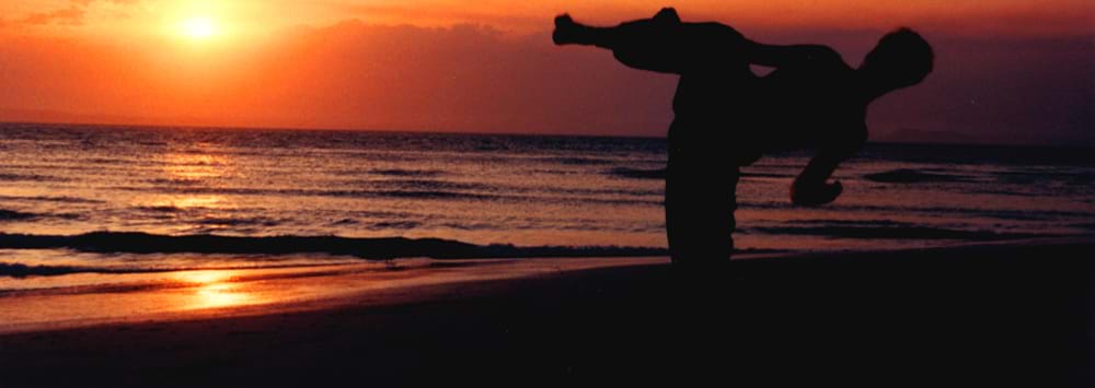 Sun Bae Taekwondo Video 2