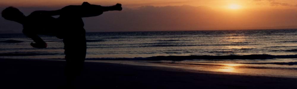 taekwondo instructor