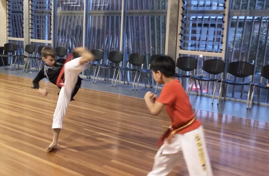 Kenmore Halloween taekwondo