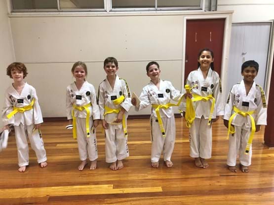 Taekwondo, martial arts kids, martial arts adult, taekwondo Newmarket, taekwondo Kenmore, martial arts Newmarket, martial arts Kenmore