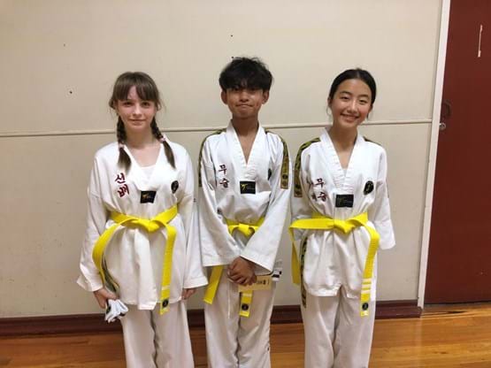 Taekwondo, martial arts kids, martial arts adult, taekwondo Newmarket, taekwondo Kenmore, martial arts Newmarket, martial arts Kenmore