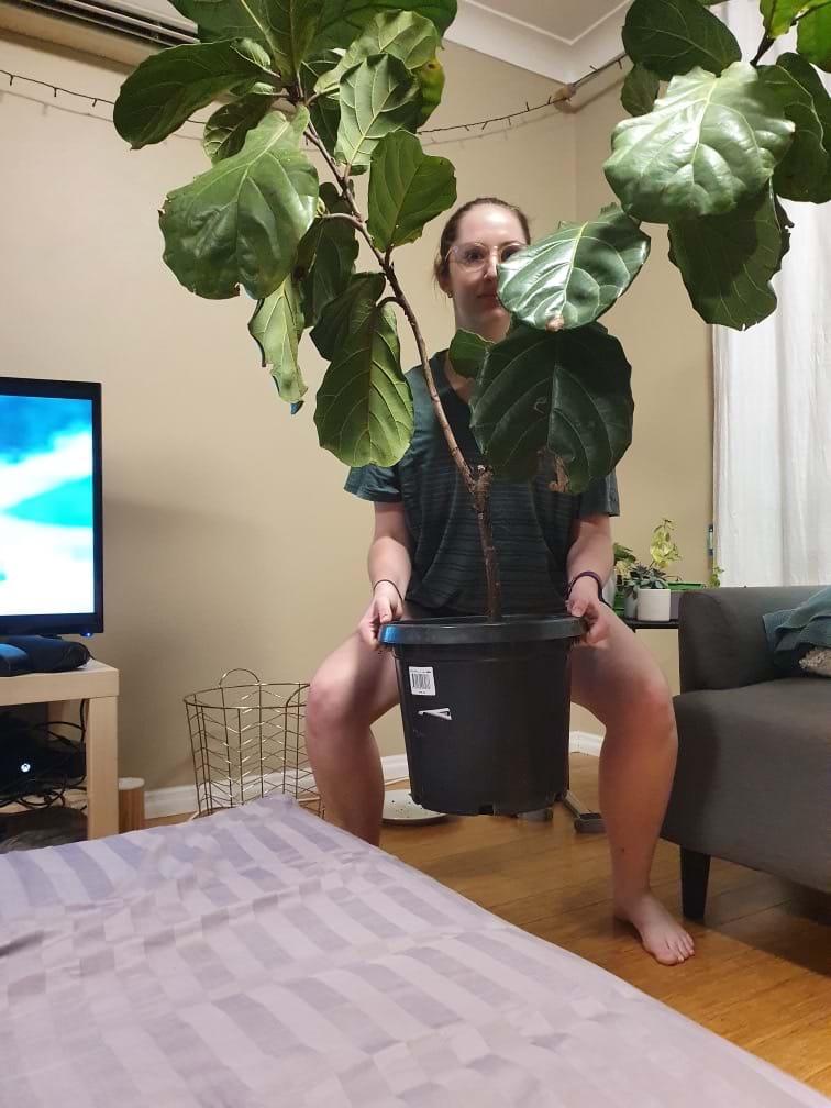 Squat - plant
