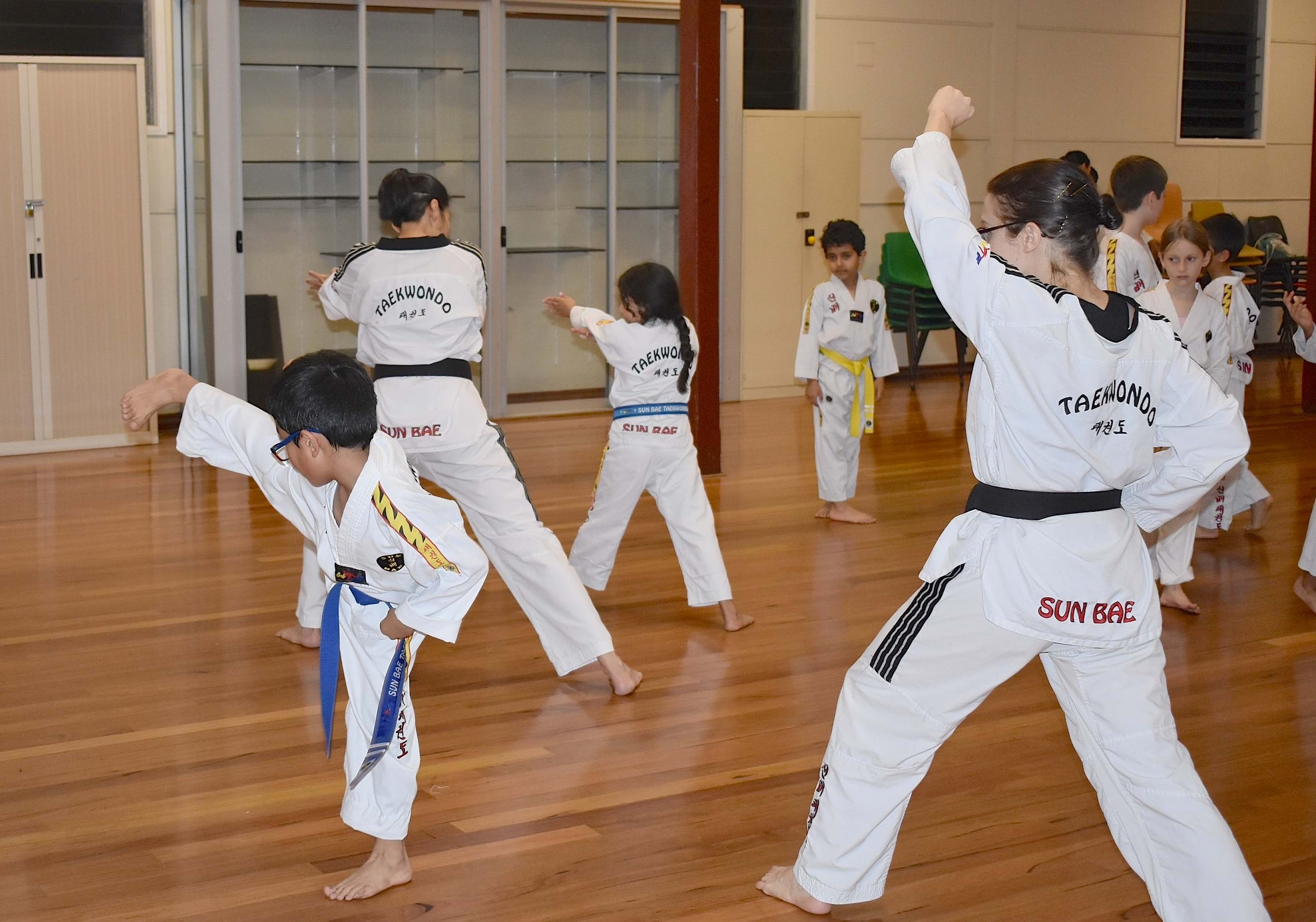 Mt Gravatt Taekwondo Martial Arts Brisbane