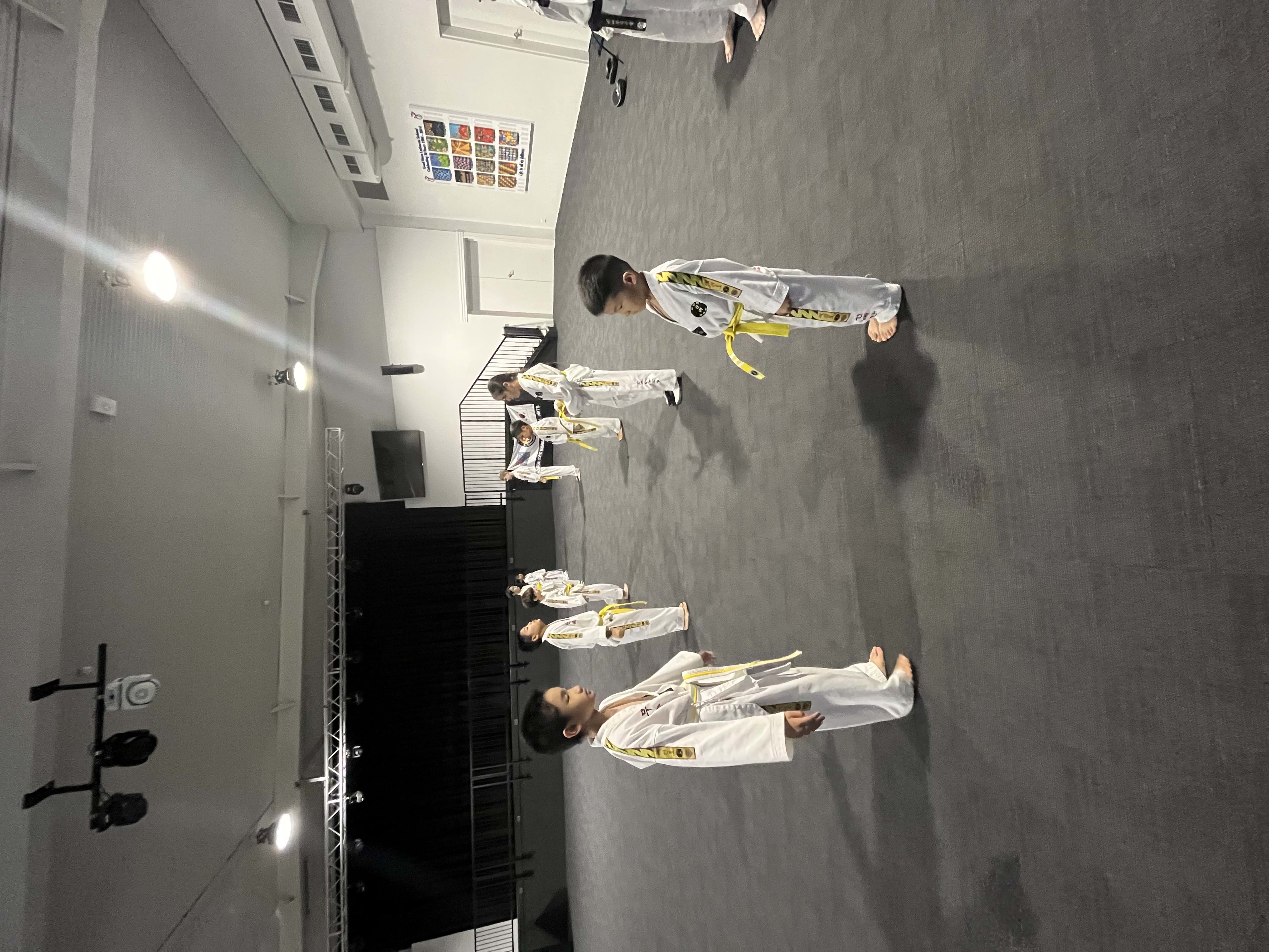 Middle Park Taekwondo Grading 10