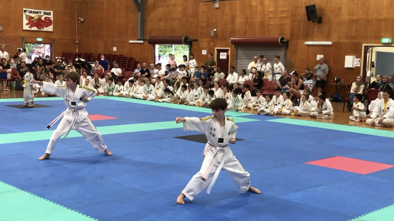 Martial Arts Championships 8