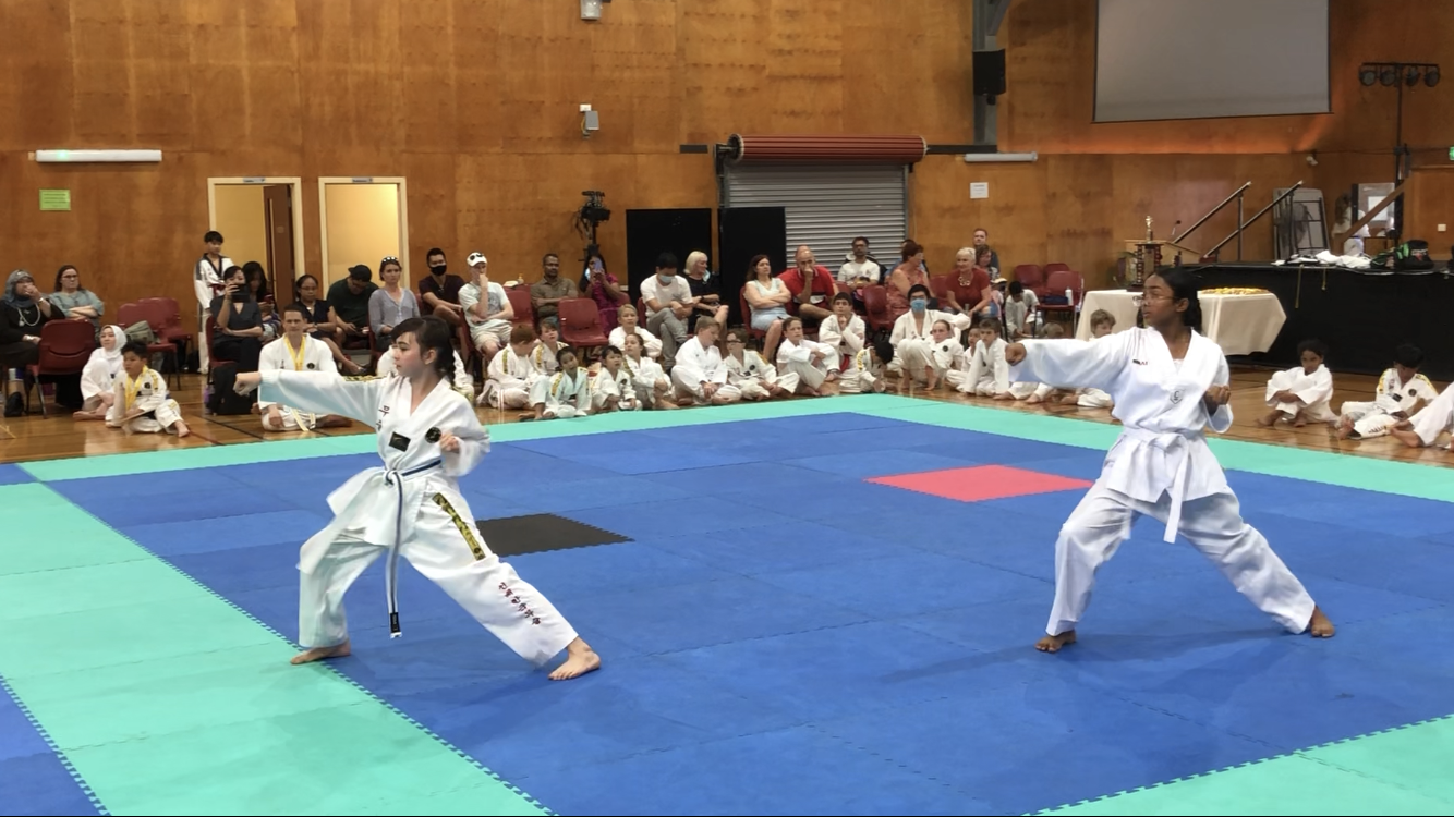 Martial Arts Championships 4