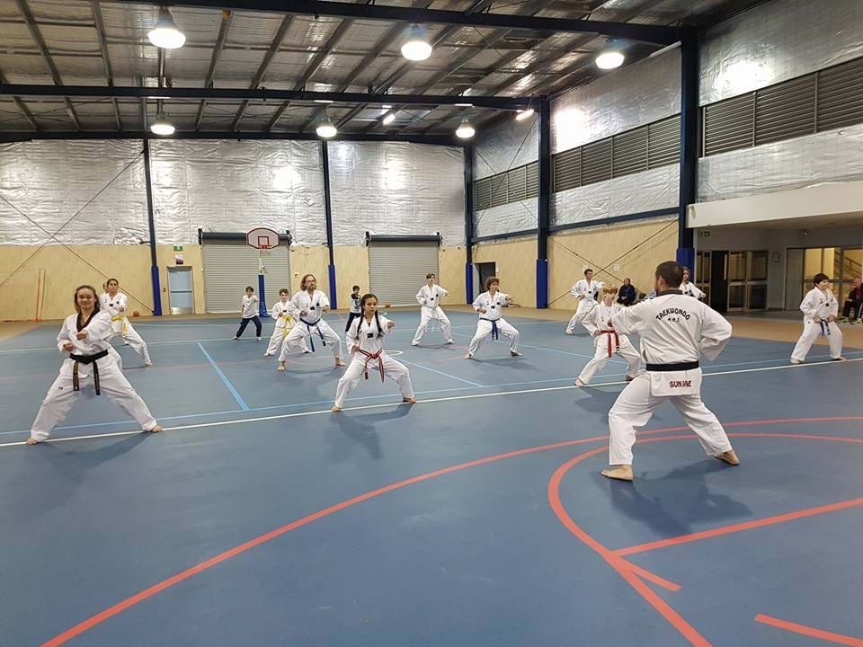 Taekwondo Martial Arts