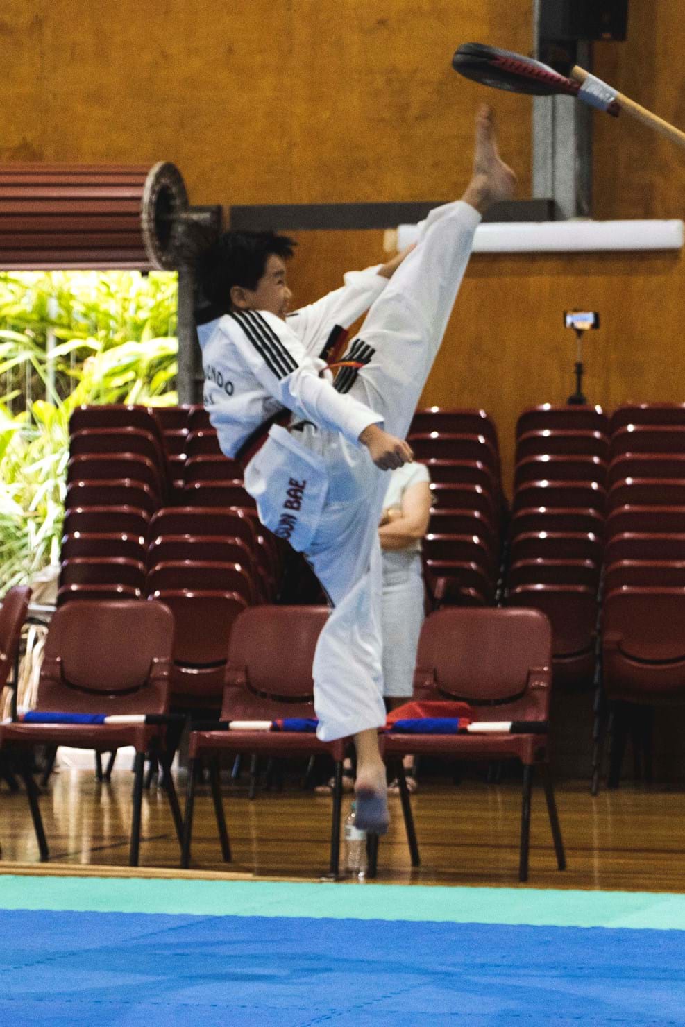 Martial Arts Championships 29