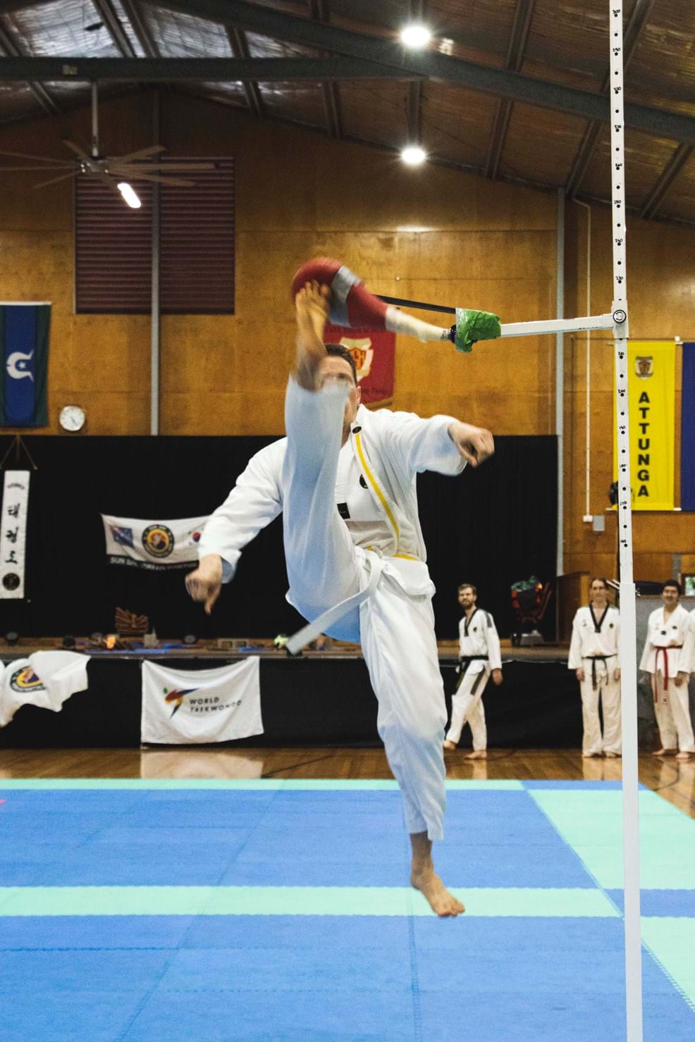 Martial Arts Championships 44