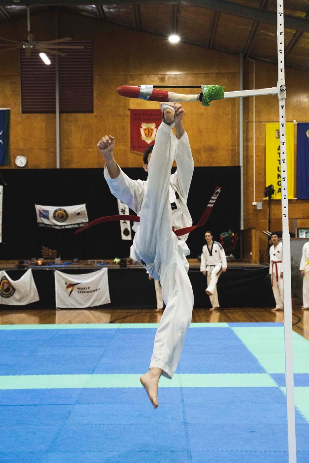 Martial Arts Championships 77