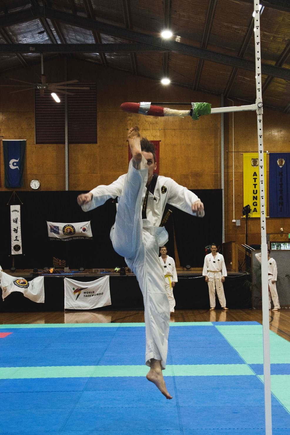Martial Arts Championships 31