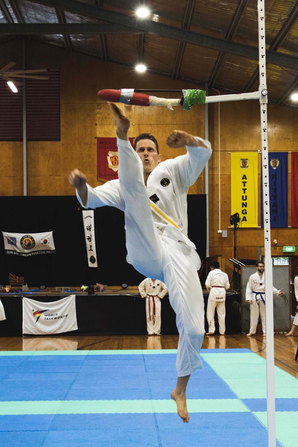 Martial Arts Championships 74