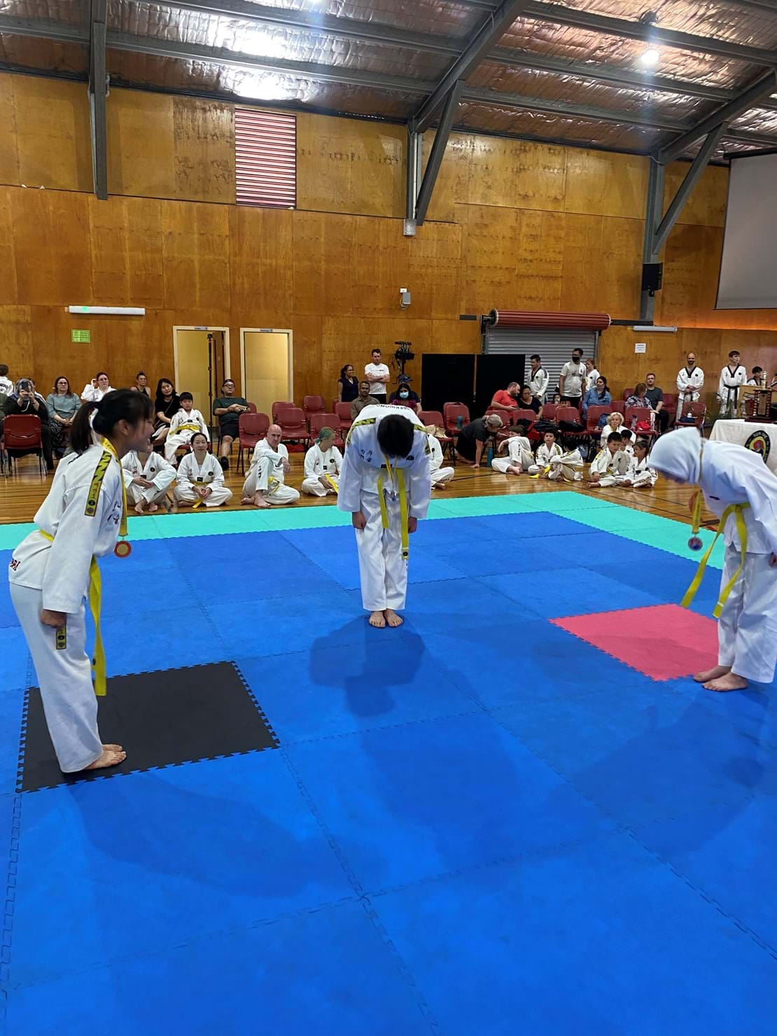 Martial Arts Championships 25