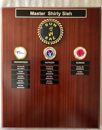 Taekwondo Competition Grading 6