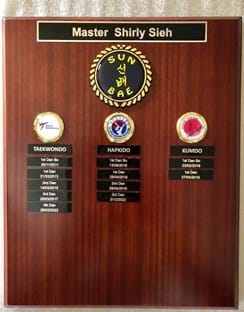 Taekwondo Competition Grading 10