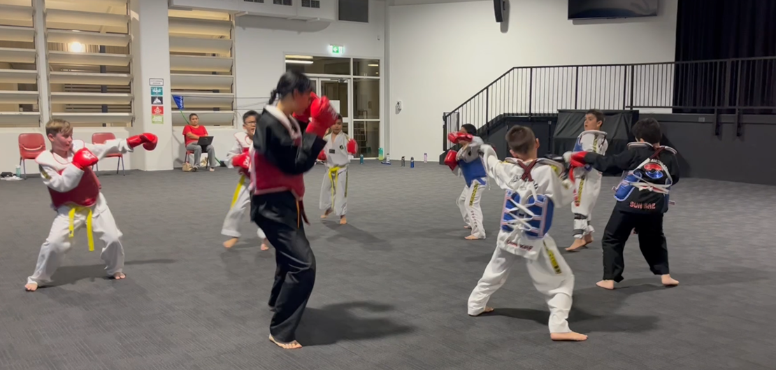 Middle Park Taekwondo Grading 1