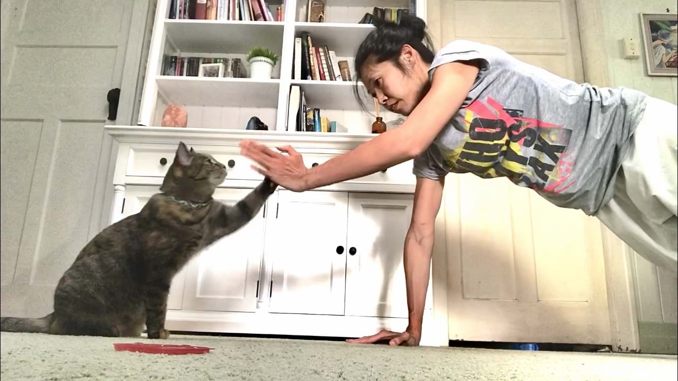 Sun Bae Home Training