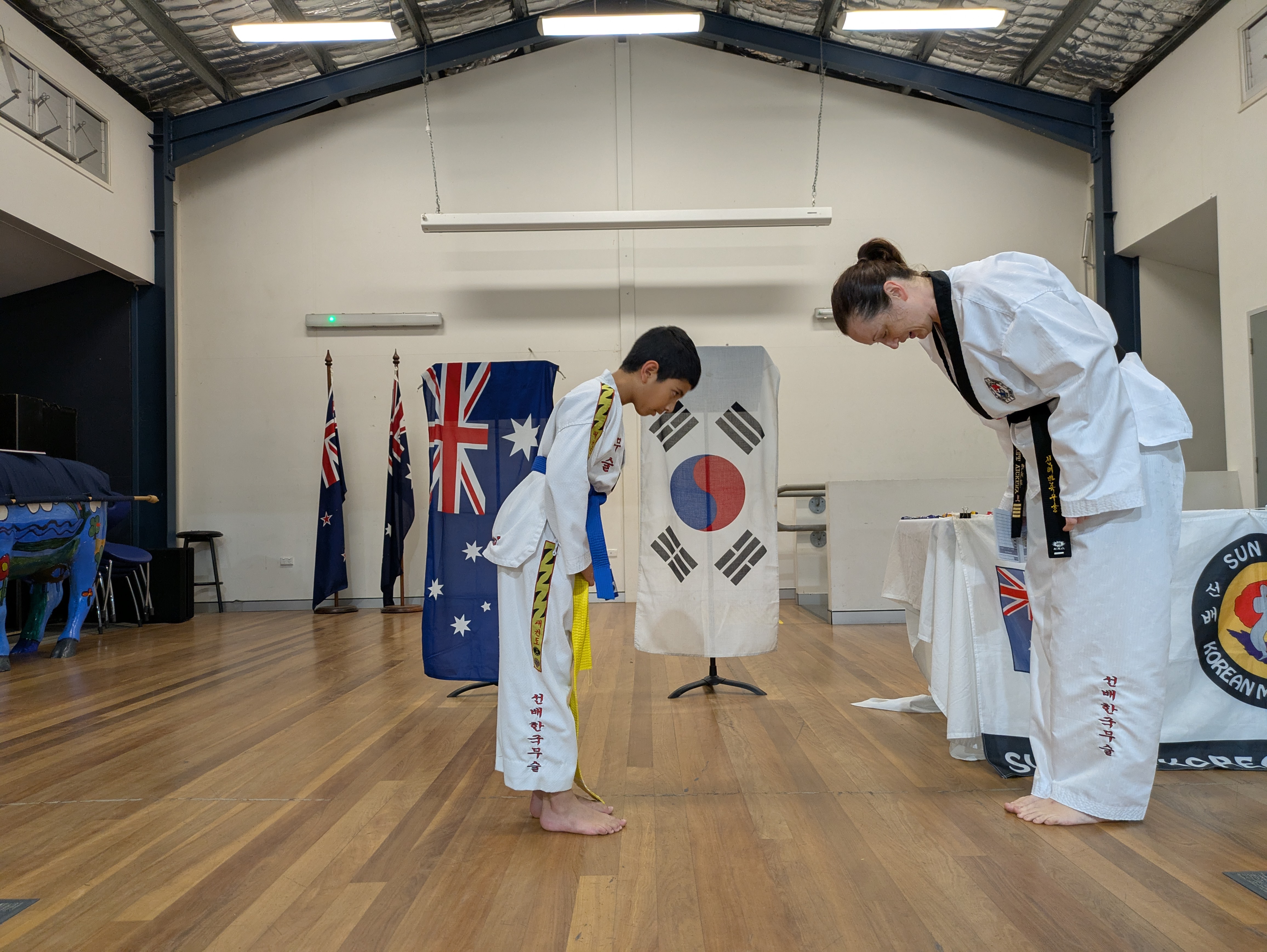 Sun Bae Taekwondo, taekwondo, lady’s self-defense, lady’s martial arts, children's martial arts, family martial arts, grading, The Gap, self-defense