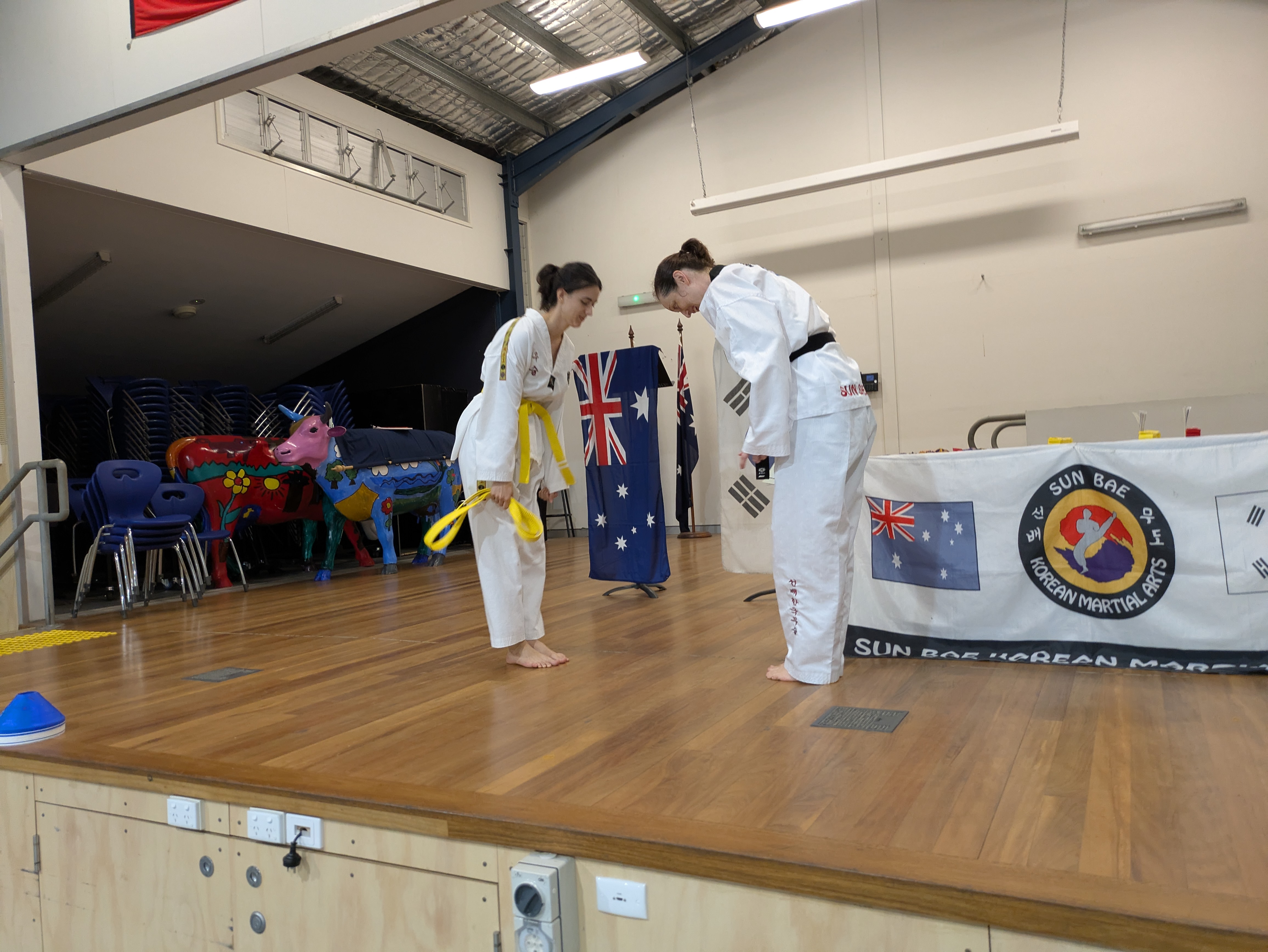 Sun Bae Taekwondo, taekwondo, lady’s self-defense, lady’s martial arts, children's martial arts, family martial arts, grading, The Gap, self-defense