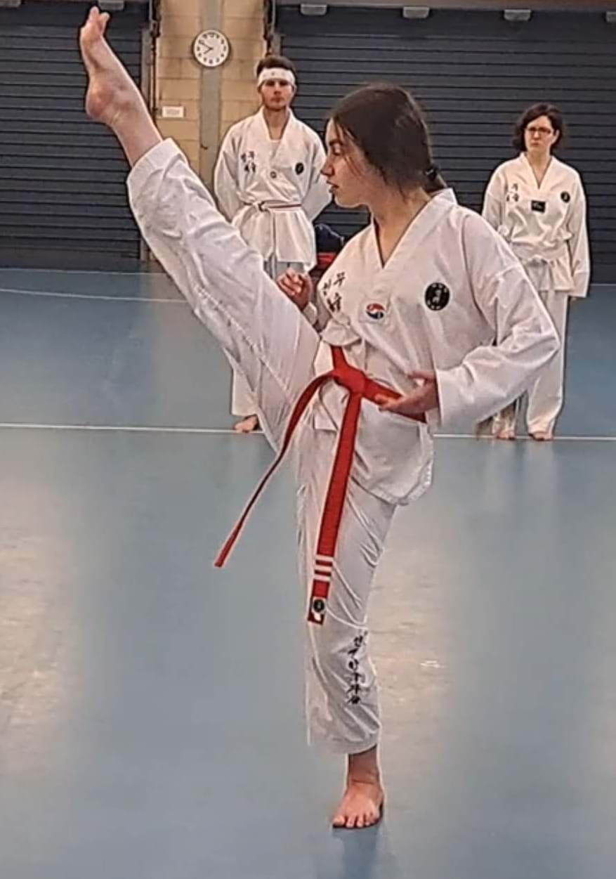 Taekwondo Competition Grading 20