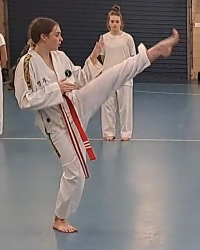 Taekwondo Competition Grading 19