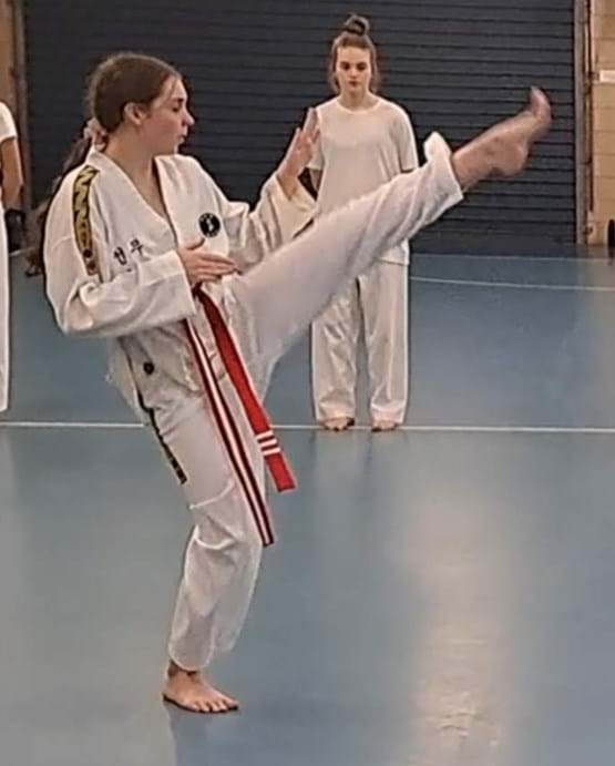 Taekwondo Competition Grading 19