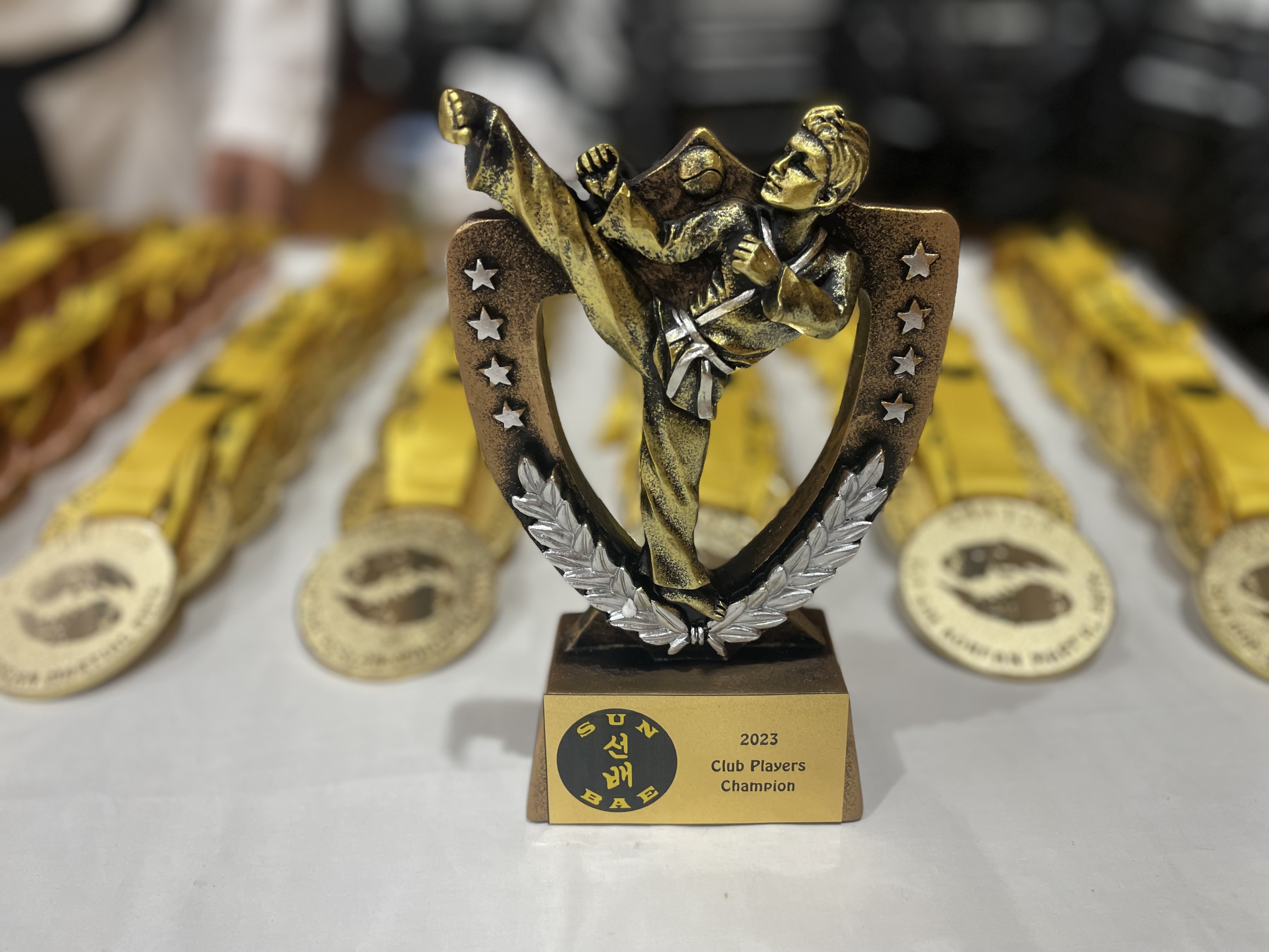 Team Patterns Trophy: Sun Bae Korean Martial Art - Taekwondo Championship - Patterns, High Kick, Power Breaking, Roof Tiles, Kukkiwon, WT - World Taekwondo, Australia, Brisbane, Centres locations at Kenmore, Newmarket, The Gap, Middle Park, Mt Gravatt, Toowoomba, Grandmaster Bradley Tatnell. competition, white belt, yellow belt, blue belt, red belt, black belt, children, adults, male, female.