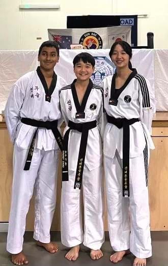 Parents Guide to Taekwondo