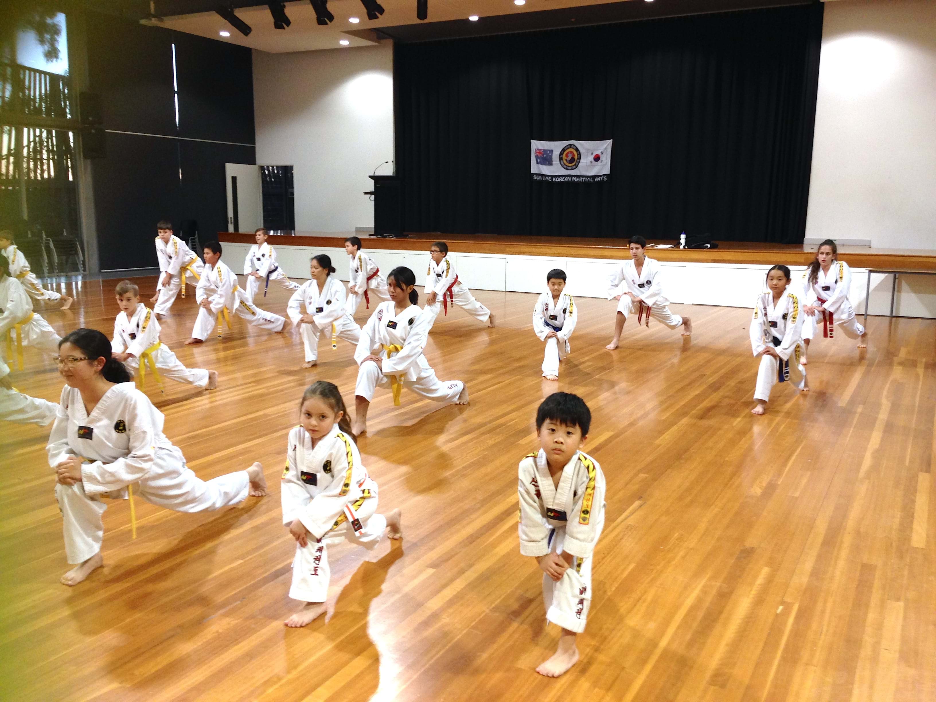Kenmore Taekwondo Brisbane Sun Bae Korean Martial Arts Classes