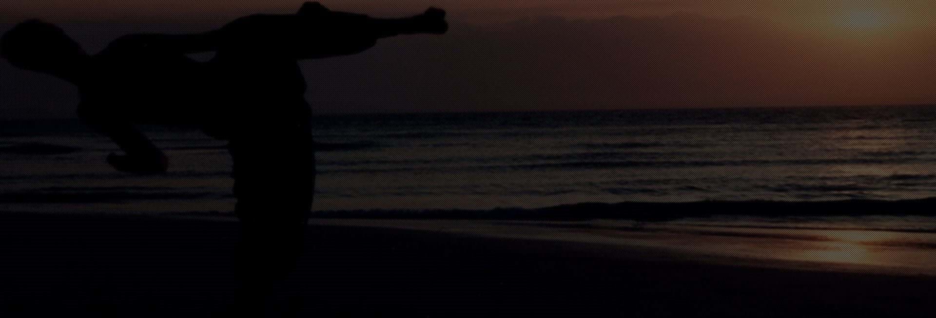 Free Class Tryout & Free TKD Uniform Fairplay Vouchers