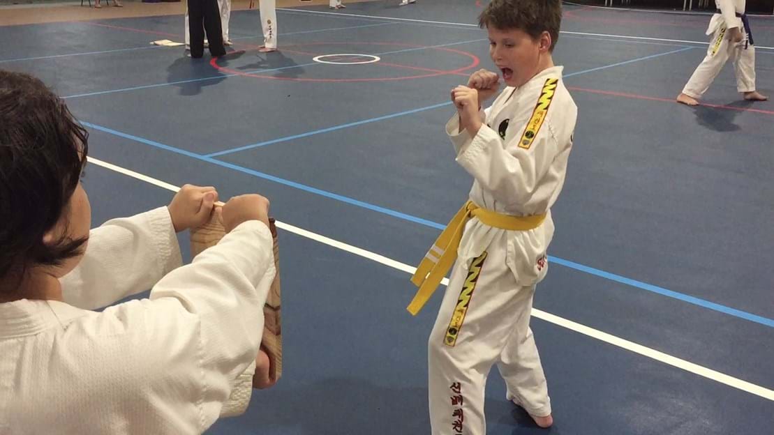 Theo Back Kick