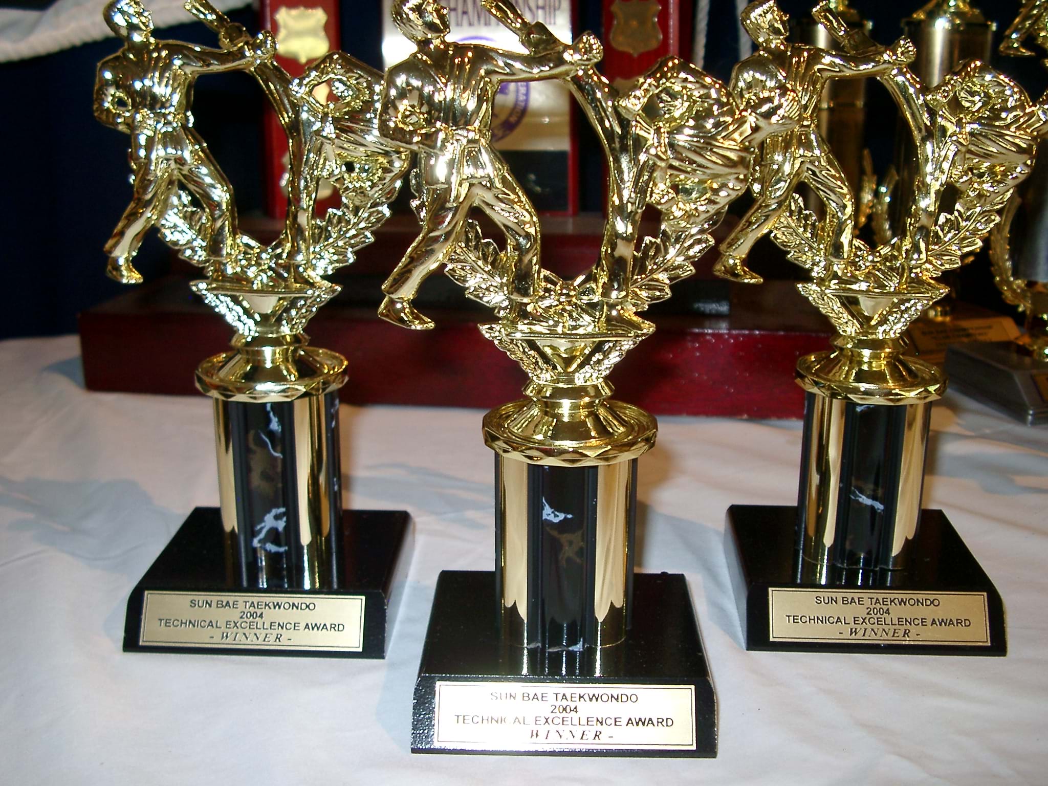 Technical Excellence Award